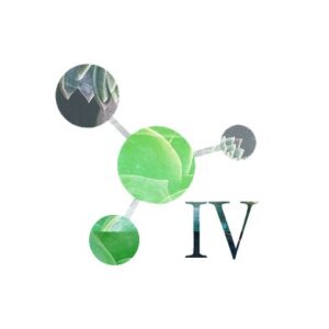 independent variable